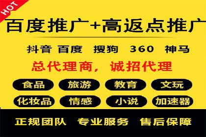 某科技公司的信息流广告投放策略与效果评估